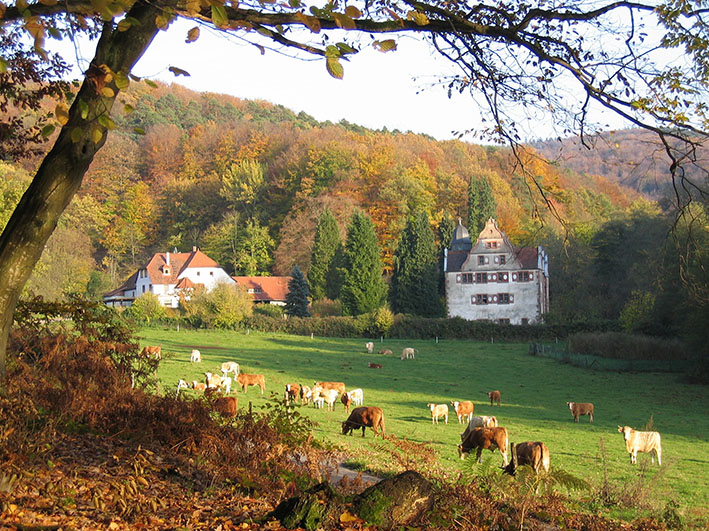 Schloss Oberaulenbach